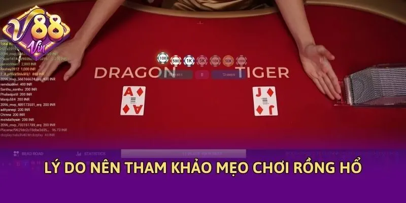 Lý do nên tham khảo mẹo chơi rồng hổ