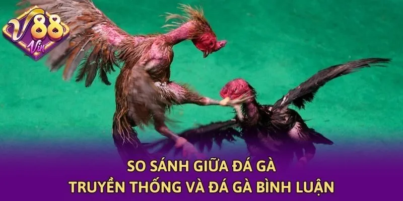 So sánh giữa đá gà truyền thống và đá gà bình luận