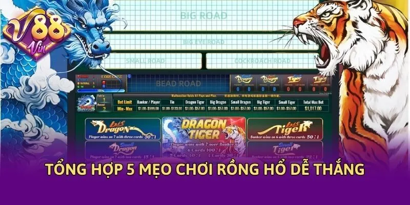 Tổng hợp 5 mẹo chơi rồng hổ dễ thắng