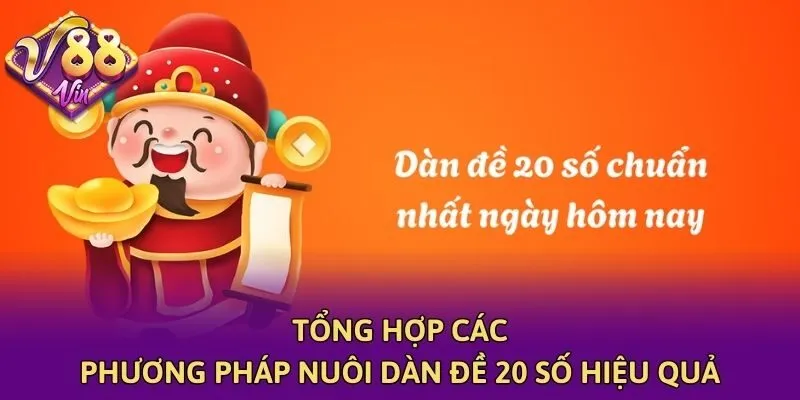 Tổng hợp các phương pháp nuôi dàn đề 20 số hiệu quả
